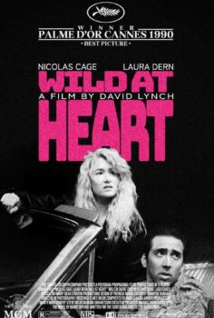 Vahşi Duygular | Wild at Heart