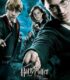 Harry Potter ve Zümrüdüanka Yoldaşlığı