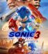Kirpi Sonic 3