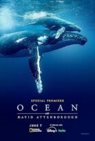 David Attenborough ile Okyanuslar | Ocean with David Attenborough