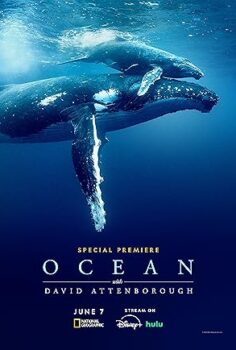 David Attenborough ile Okyanuslar | Ocean with David Attenborough