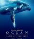 David Attenborough ile Okyanuslar | Ocean with David Attenborough