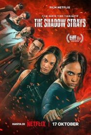 Asi 13 | The Shadow Strays