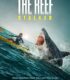 Dehşetin Dişleri: Kanlı Takip | The Reef: Stalked