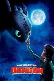 Ejderhanı Nasıl Eğitirsin | How to Train Your Dragon