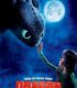 Ejderhanı Nasıl Eğitirsin | How to Train Your Dragon