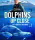 Dolphins Up Close with Bertie Gregory